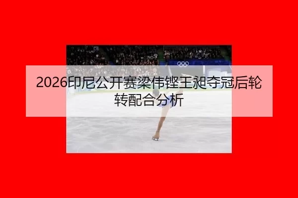 2026印尼公开赛梁伟铿王昶夺冠后轮转配合分析
